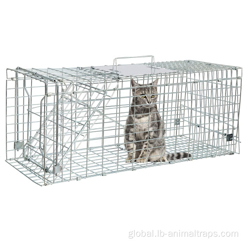 Live Animal Cage Traps Steel Humane Release Rodent Cage for cat Supplier